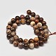 Natural Petrified Wood Round Bead Strands X-G-F266-08-8mm-2