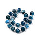 Natural Apatite Beads Strands G-N327-08D-2
