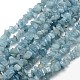 Chapelets de perles de puces aigue-marine naturelles X-G-L154-19-1