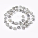 Natural Labradorite Beads Strands G-G821-01B-2