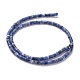 Natural Sodalite Beads Strands G-H230-10-2