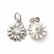 Подвески из латуни с кубическим цирконием KK-H436-02P