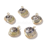 Подвеска из натуральной раковины BSHE-H018-11G