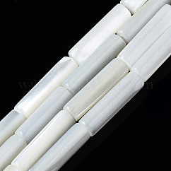 Hebras naturales de concha de troco / concha de troco, columna, blanqueador, color de concha, 13x4mm, agujero: 0.7 mm, aproximamente 30 pcs / cadena, 15.94 pulgada (40.5 cm)