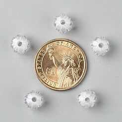 Прозрачные акриловые бусины&nbsp;LS-X-TACR-S089-10mm-01