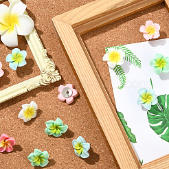 30 шт. булавки-кабошоны из смолы плюмерия&nbsp;AJEW-SC0031-18