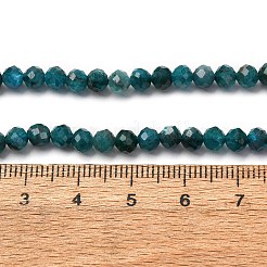 Природного апатита нитей бисера G-A276-C08-4mm-02