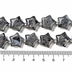 Натуральные нити бус из ларвикита G-NH0005-016