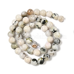 Бусины из натурального радужного лунного камня G-H093-B01-8MM