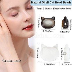 12 шт. 2 вида натуральных смешанных ракушечных бусин SSHEL-BBC0001-03