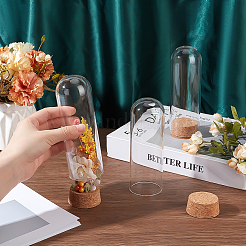 Стеклянный купол&nbsp;DJEW-WH0099-04A