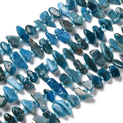 Природного апатита нитей бисера&nbsp;G-B176-A01-01