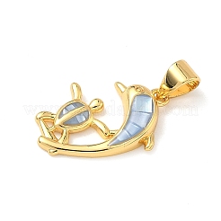 Латунь эмаль подвески&nbsp;KK-H534-01A-G01