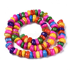 Fili di perle di conchiglia trochid naturale / trochus&nbsp;SHEL-S258-081