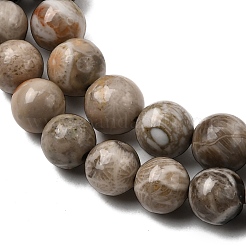 Природные окаменелые коралловые бусы пряди G-G212-6mm-31