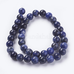 Perline sodalite naturale fili&nbsp;X-G-G448-10mm-25