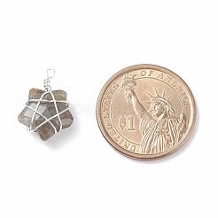 Природных драгоценных камней подвески&nbsp;PALLOY-JF01457-02