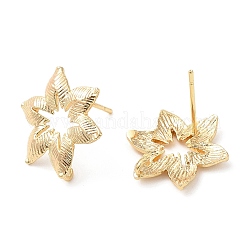 Крючки серьги из латуни&nbsp;X-KK-F855-22G