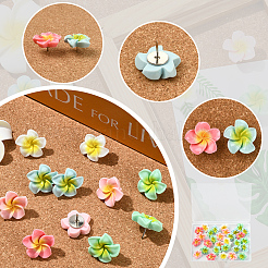 30 шт. булавки-кабошоны из смолы плюмерия&nbsp;AJEW-SC0031-18