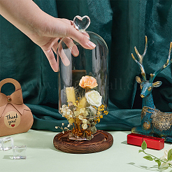 Стеклянный купол&nbsp;AJEW-WH0083-28A