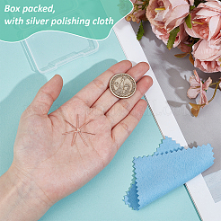 1 шт. 925 подвески из стерлингового серебра с 6 зубцами-коготками&nbsp;STER-BC0003-22RG