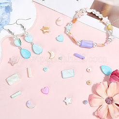 120 шт. натуральные ракушечные бусины цвета макарон SHEL-SC0001-71