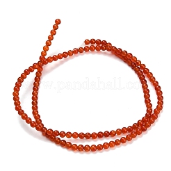 Природного сердолика нитей бисера&nbsp;G-Z116-A22-3mm