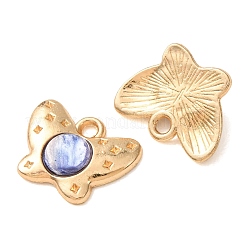 Pendentifs en alliage de résine&nbsp;RE-CBAB5D6-01G-02