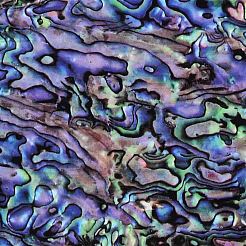 Бумажные самоклеющиеся наклейки DIY-S058-001