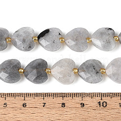 Natur Labradorit Perlen Stränge&nbsp;LS-G-P592-B14-01