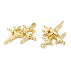 合金ペンダント  カドミウムフリー＆鉛フリー  スター  ライトゴールド  29x22x3mm  穴：2mm&nbsp;PALLOY-A003-03KCG