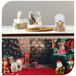 4 комплект стеклянных купольных крышек 2 стилей&nbsp;AJEW-HY0001-03