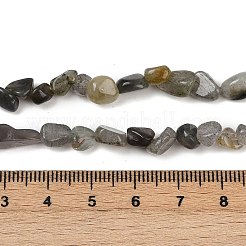 Природные лабрадорита бисер нитей G-Q060-D02