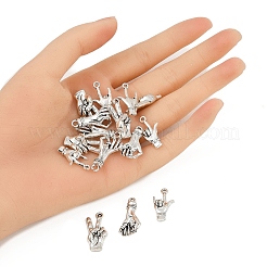 15шт 3 стиля подвески из сплава в тибетском стиле&nbsp;TIBE-FP0001-21