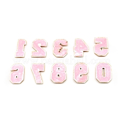 10 шт. 10 стиля компьютеризированная вышивка ткань утюг на / пришить патчи DIY-WH0265-89