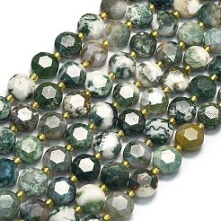 Натурального дерева агат бисер нитей G-C116-A150-01