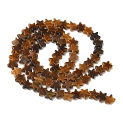 Природных тигровый глаз бисер нитей&nbsp;G-F817-A06-01