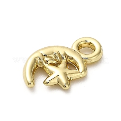 Подвески из сплава &nbsp;FIND-A051-02B-G