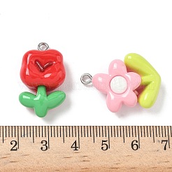 Подвески из непрозрачной смолы&nbsp;RESI-I339-05P