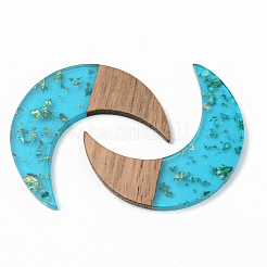 Подвески из прозрачной смолы и ореха&nbsp;RESI-S389-056A-B03