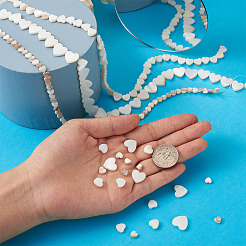 3 нитка 3 стили натуральных пресноводных ракушек SHEL-FW0001-01