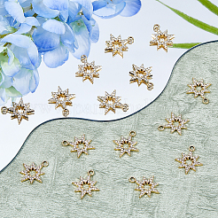 40 шт. подвески из сплава со стразами с УФ-покрытием ALRI-DC0001-09