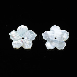 Натуральные белые бусины из ракушек SSHEL-N027-131B-01