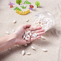 Натуральные бусины из ракушек-трубочек BSHE-KS0001-01