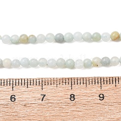 Натуральный цветок амазонитовые бусины пряди&nbsp;G-Z116-A18-3mm