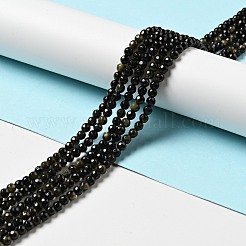 Естественный золотистый отлив обсидиан бисер пряди G-P476-01A-04