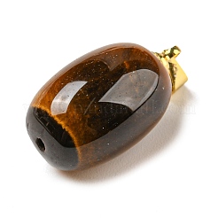 Природных тигровый глаз подвески&nbsp;G-D094-05A-G