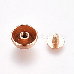 Nieten aus Legierungsnieten&nbsp;PALLOY-WH0052-03LG