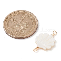 Подвески из натуральной пресноводной раковины&nbsp;PALLOY-JF02442-01