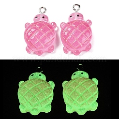 Подвески из непрозрачной смолы с градиентным цветом и светящейся текстурой RESI-S011-01E